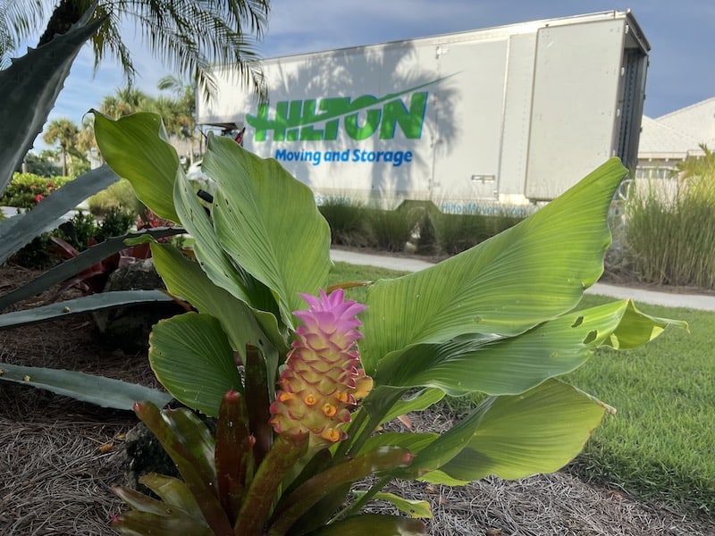 Naples Moving Companies, Naples Movers, Bonita Springs Movers, Bonita Springs Moving Companies, Marco Island Movers, Marco Island Moving Companies, Estero Movers, Estero Moving Companies, Hilton Moving and Storage, Naples Movers, Naples Moving Companies, Naples Moving and Storage, Moving Companies, Best Naples Moving Companies, Marco Island Movers, Marco Island Moving Companies, Bonita Springs Movers, Bonita Springs Moving Companies, Naples Receiving and Delivery, Naples long distance moving company